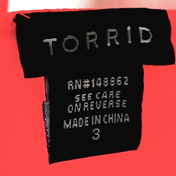 Torrid Plus Size 3 Sleeveless V-Neck - Picture 3 of 7